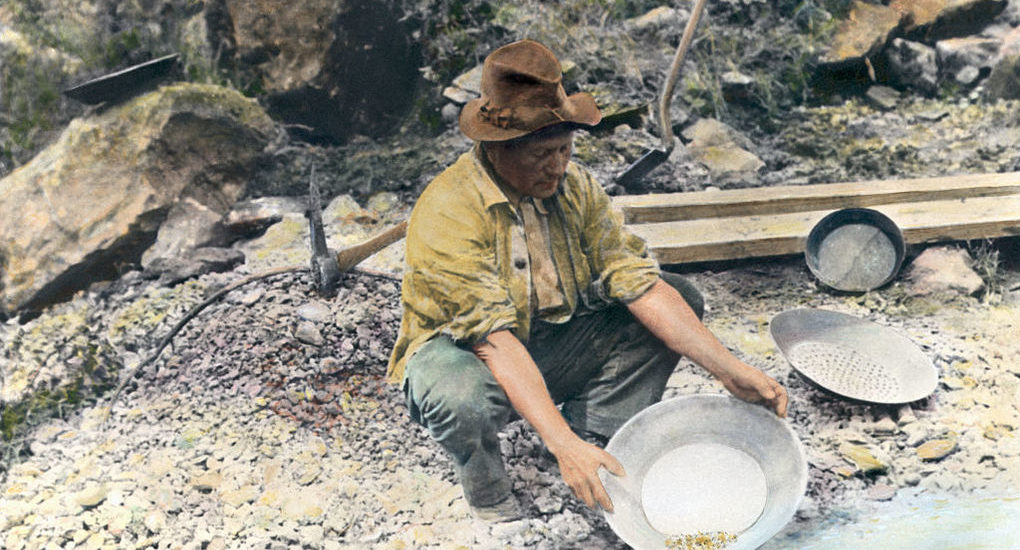 Miner Panning For Gold